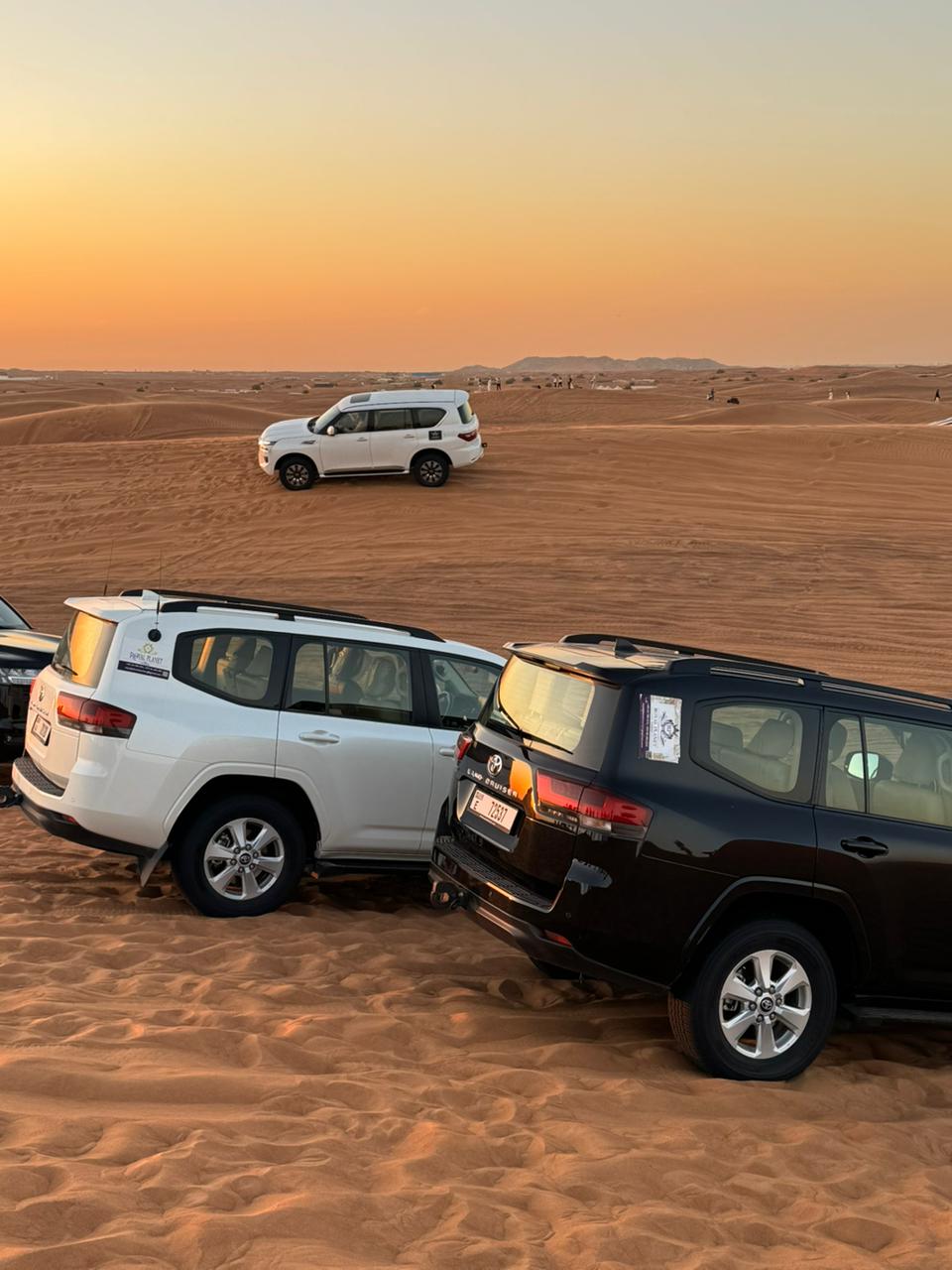 Desert Safari Experience