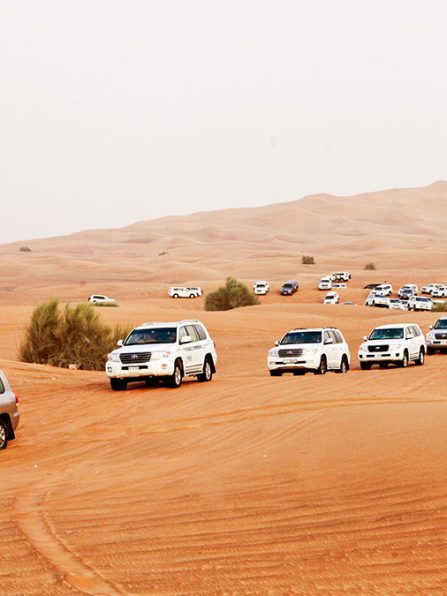 4x4 Pickup Desert Safari