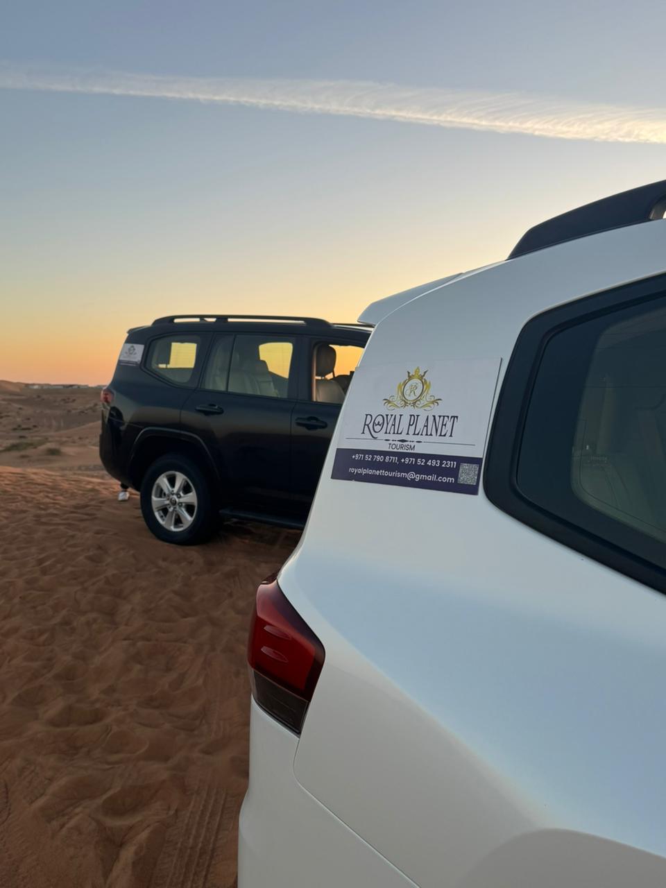 Desert Safari Experience