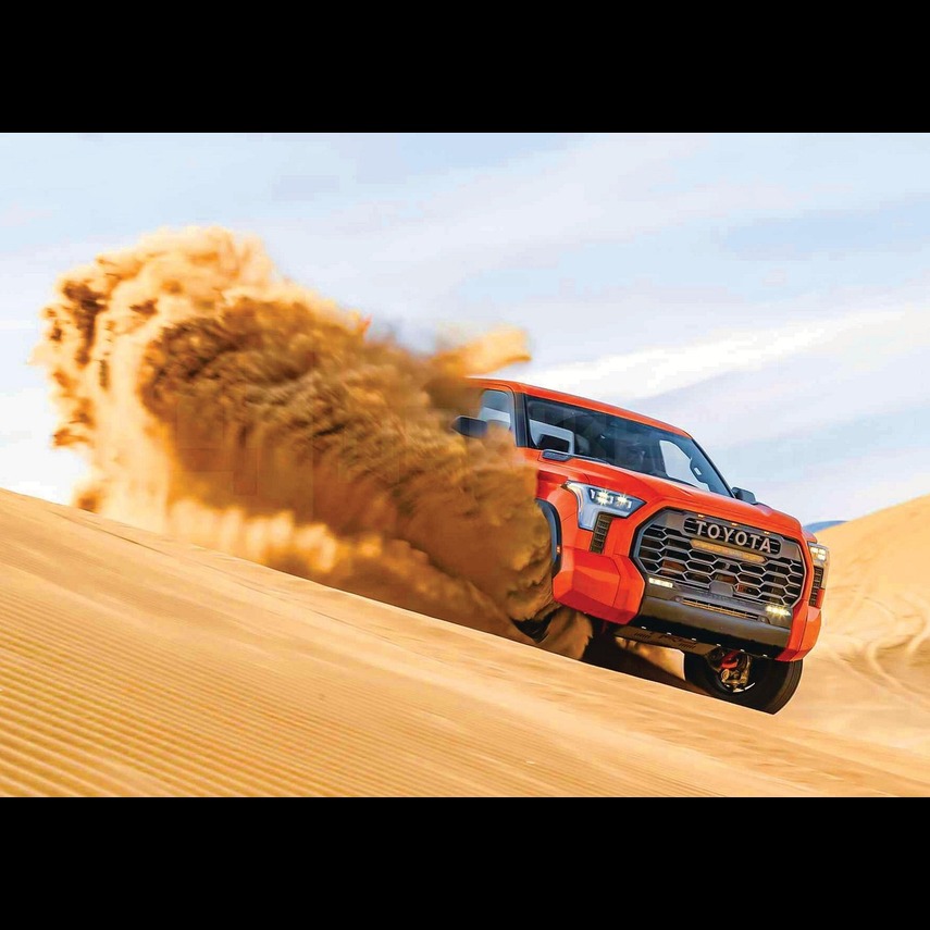 Desert Safari Experience