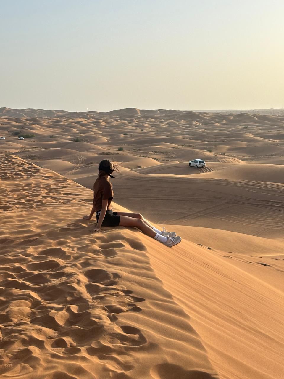 Desert Safari Experience