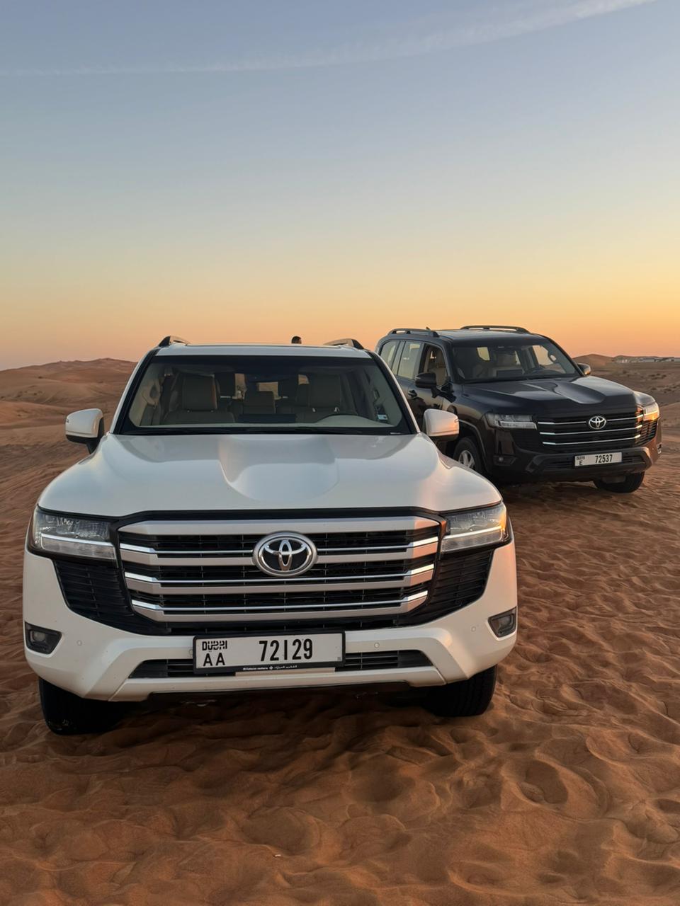 Desert Safari Camel Ride