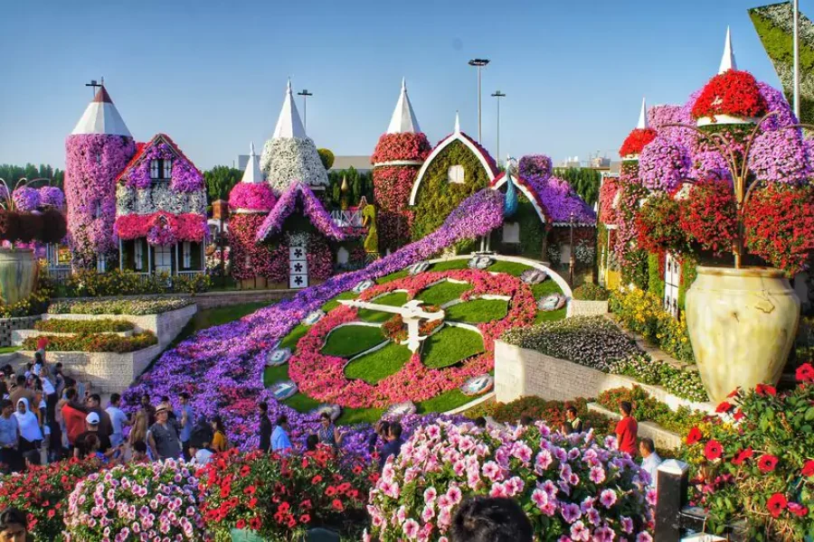 Miracle garden