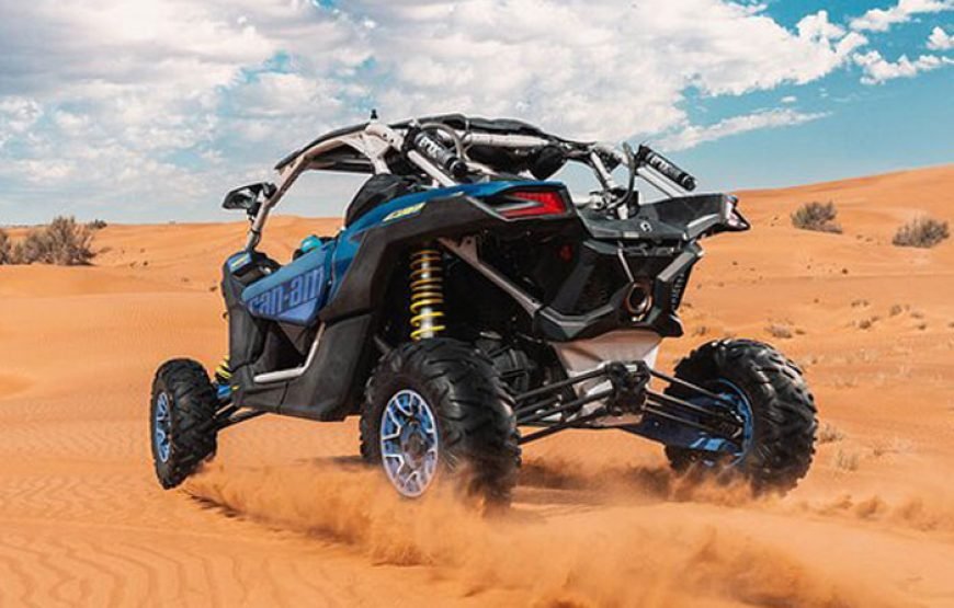 1 Seater Polaris Rzr