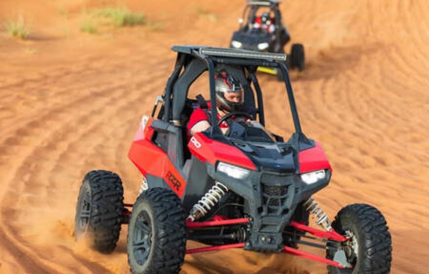 1 Seater Polaris Rzr