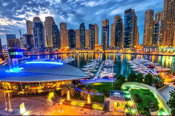 Full Day Dubai + Private Safari