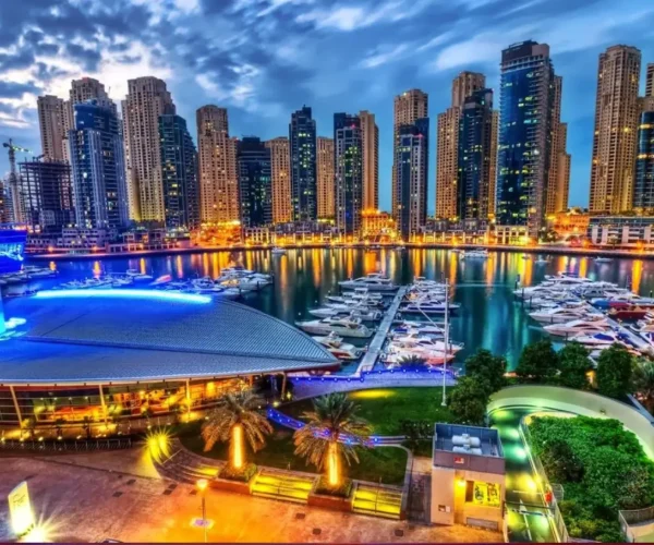 Full Day Dubai + Private Safari