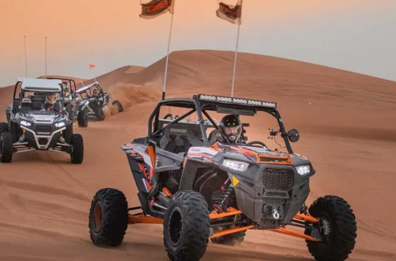 2 Seater Polaris RZR 1000CC