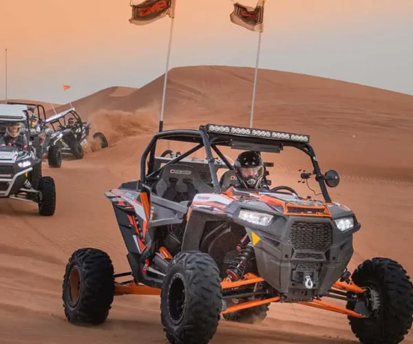 2 Seater Polaris RZR 1000CC