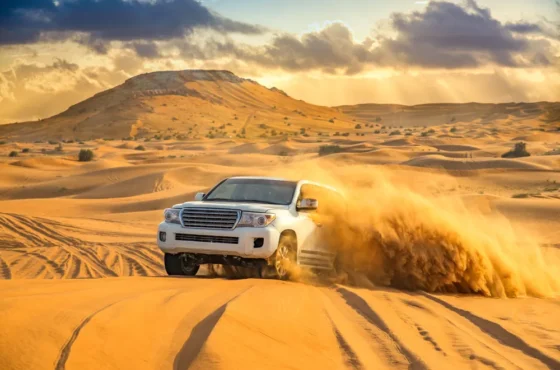 Morning Desert Safari