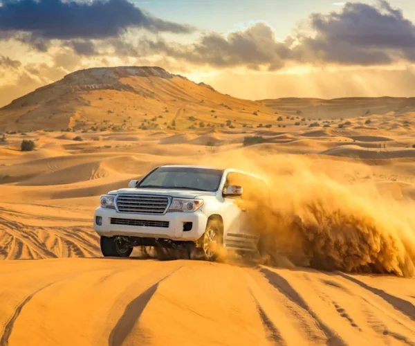 Morning Desert Safari