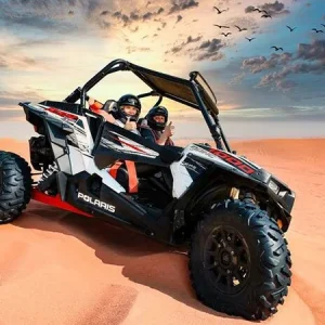 2-seater-polaris-buggy