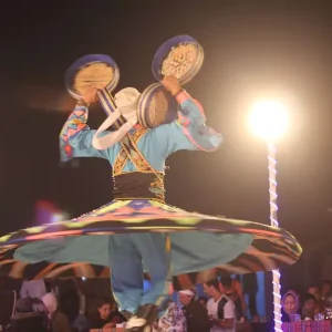 desert-safari-desert-life-travel-outdoors